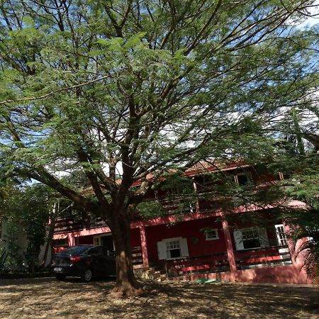 Pousada Cortina De Folhas Tiradentes Ngoại thất bức ảnh
